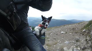 Romanian Hillclimb: Drumul Strategica Transalpina