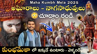 మహా కుంభమేళా లో అఘోరాలు నాగ సాధువులు 🔱 | Different Types of Aghori//Sadhus in Maha Kumbh Mela 2025