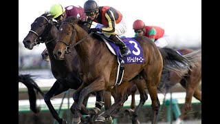 ドリームジャーニー　2006年12月10日　朝日フューチュリティ　G1　競走馬　JRA　鹿毛