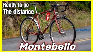 The New Ritchey Montebello 2024 | steel road bike for long distance ride !