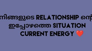 Current Energy #tarot #tarotmalayalam #energy #feelingstatus #currentfeelings #love #tarotreading