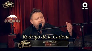 Amor Perdido - Rodrigo de la Cadena y Eduardo Magallanes - Noche, Boleros y Son