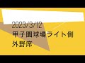 甲子園球場チアガールのお姉さん