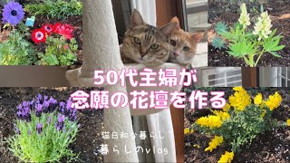 【暮らしのVlog】50代主婦が頑張った念願の小さな花壇作り