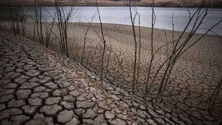 Евросоюзу угрожает усиление засухи в этом году