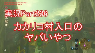 【part236】カカリコ村入口のヤバいコログ【ゼルダの伝説ブレスオブザワイルド】