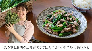 【菜の花と豚肉の生姜炒め】ごはんに合う！春の炒め物レシピ