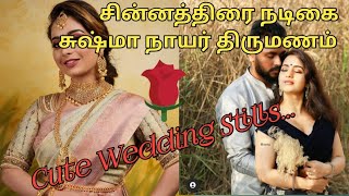 சின்னத்திரை நடிகை சுஷ்மா நாயர் Wedding Images | Nayagi Serial Ananya wedding Images| Keys of VIDHYA|