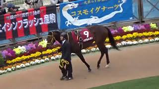 2018.4.7.中山11R.ニュージーランドT.パドック、レース現地映像