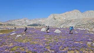 Bear Lakes Loop - Sierra 2024