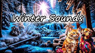 ❄️🌊 Relaxing Music | Calm Water Sounds & Snowy Forest Ambience 🌲🎶