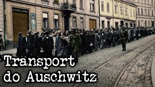 Pierwszy transport do obozu Auschwitz był złożony z Polaków