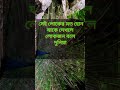 নামাজ বাদ দিওনা বন্ধু দুনিয়া থেকে আখেরাতের জীবন অনেক সুন্দর।