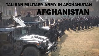 The new Hollywood army of the Taliban in Afghanistan.