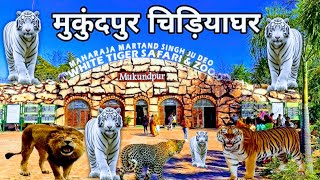 White Tiger safari \u0026 Zoo Mukundpur | mp singh vlog