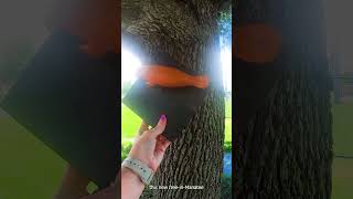 Discover Manatee Scavenger Hunt