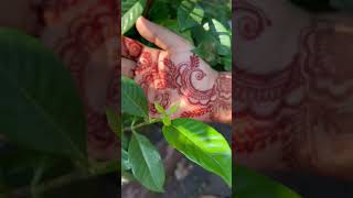 ഒന്ന് മൈലാഞ്ചി ഇട്ടാലോ🙌🏻#mehandi #marrige #henna #hennadesign #trending #love #life #passion