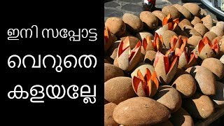 സപ്പോര്‍ട്ട കഴിച്ചാലുള്ള ആരോഗ്യ ഗുണങ്ങൾ||Health Tips Malayalam