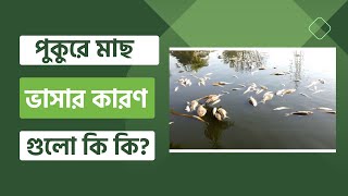 পুকুরে মাছ ভাসার কারণ গুলো কি? 🐟 এক্ষেত্রে করণীয় কি?