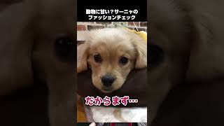 動物に甘い？サーニャのファッションチェック【葛葉/サーニャ/にじさんじ/切り抜き】#shorts