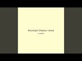 Moonlight Shadow Velvet