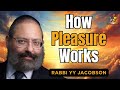 The Mechanism of Pleasure - Rabbi YY Jacobson - Parshat Tetzaveh