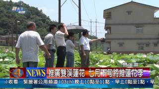 1020715觀天下新聞08 雙溪區推廣雙溪蓮花 七月下旬將推蓮花季