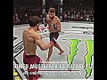 Вертушки mma ufc