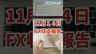 年金まで、あと５年　60歳からのFX　2024年11月14日　収支報告　やっぱりドル円ロングはできませんでした(笑)　FX　大損　FX　ロスカット　ドル円　ビットコイン　金　暴落　トランプトレード