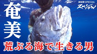 [NHKスペシャル] 台風の大波に乗り 素潜りで魚を突く | 龍がとぶ島 奄美 | NHK