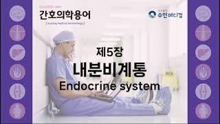 [간호의학용어] 제5장 - 내분비계통 Endocrine system