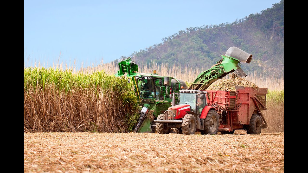 Assessment And Investigation Of Sugar Cane Bagasse Ash As A Binding ...