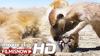 THE LION KING "Pumbaa names Simba, Fred" Clip (2019) | Disney Live-Action Movie