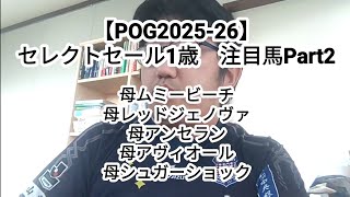 【POG2025-26】セレクトセール1歳　注目馬Part2