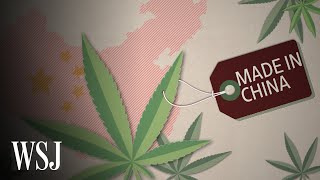 Why China Is Betting Big on CBD | WSJ