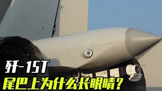 Why do the J-15 T have eyes on its tail? As the first variant of the J-15 fighter  the performance