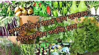 সম্পূর্ণ জৈব সারে ছাদ বাগানে শীতকালীন ১২ রকমের সব্জি চাষ করা যায় ll শীতকালীন সব্জী চাষ ll