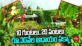 10 గుంటలు..20 పంటలు రూ.30వేల ఆదాయం పక్కా | Attractive Modern Farming System | hmtv Agri