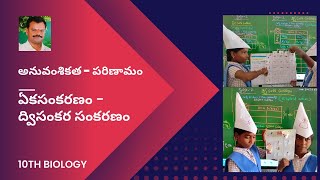 Heredity, Monohybrid and Dihybrid cross, Mendel principles, student activity, అనువంశికత, 10th class