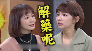 【天之驕女】EP379 安琪不滿YUKI卡位兩人吵不停 品萱病情加重大力暖守護..仁芯約見意外得知漸凍有解藥!