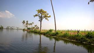 Kainagiri [ Alappuzha, Kerala, India]