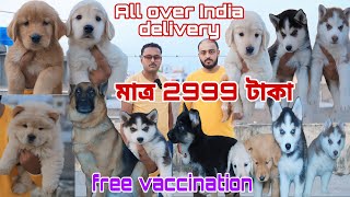 ক্রিসমাস উপলক্ষ্যে 2999 টাকা puppy||Home breed puppy sell in kolkata|| Dog market in kolkata||