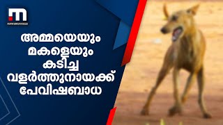 പത്തനംതിട്ടയില്‍ അമ്മയെയും മകളെയും കടിച്ച വളര്‍ത്തുനായക്ക് പേവിഷബാധ| Mathrubhumi News