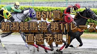 BSN賞 新潟競馬場  第11レース 直感予想！