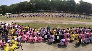 大東文化大学第一高等学校 体育祭 ダンス　2019/06/06