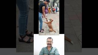 , ഈ സ്നേഹത്തിനൊക്കെ എന്താ പറയുക ❤️ | Dog | Love | #Shorts