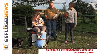 Rassegeflügel-Züchter stellt sich vor - Westf. Totleger, Laufenten, Twenter u. fränk.Landgänse