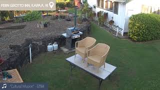 Live USA Webcams & Weather *Washington DC Protests* | VISIT ALL 50 STATES IN 1 HOUR REAL-TIME