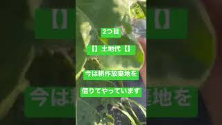 【新規就農者必見】お金案外いるんです…