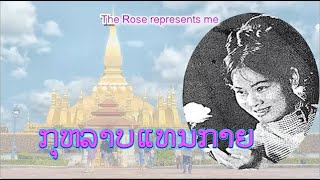 ກຸຫລາບແທນກາຍ - กุหลาบแทนกาย | The Rose represents me (VO)